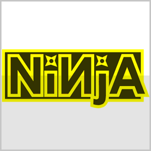 ninja bearings