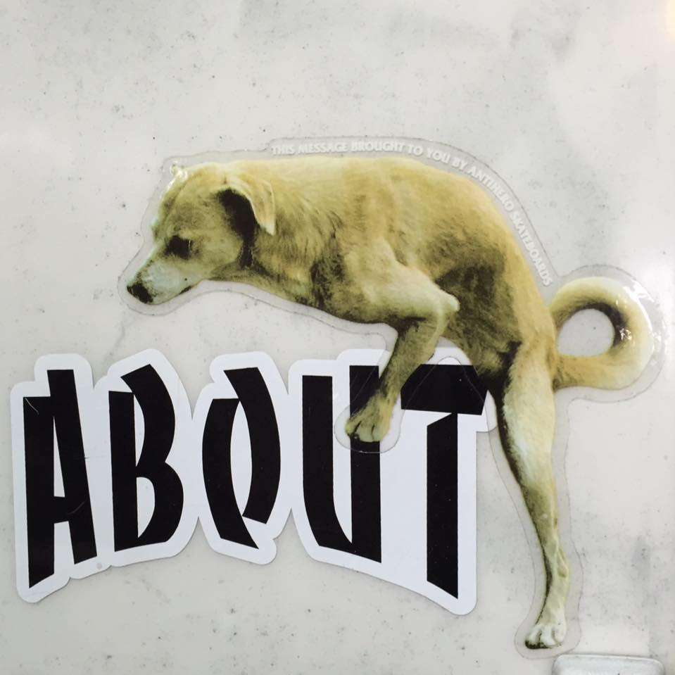 about logo