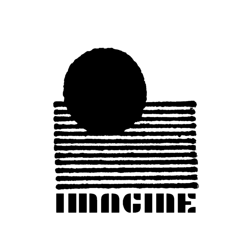 imagine skateshop logo